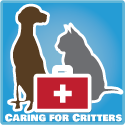 Caring-For-Critters2-125